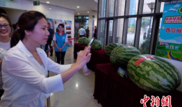 最新吃瓜爆料河北新闻,揭秘幕后真相，带你走进事件核心